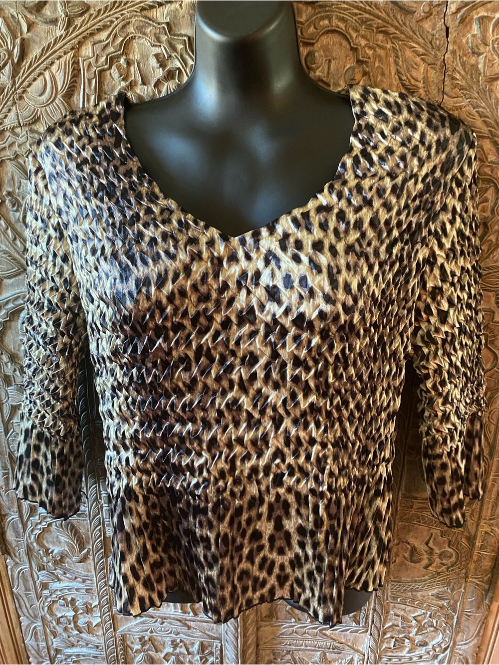 Leopard-Print V-Neck Blouse in Brown and Black